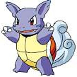 Worturtle