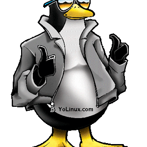 a cool linux penguin!