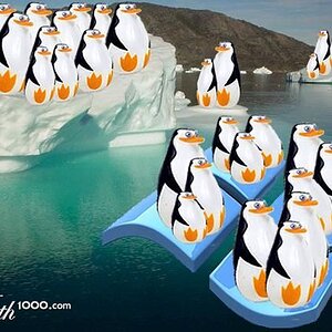 penguins floating!