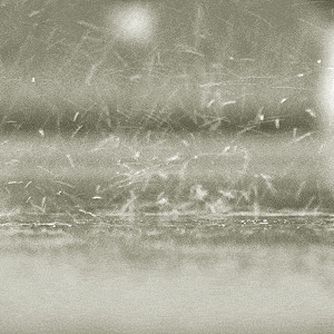 Rain~ :D