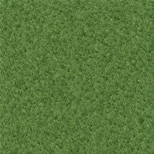 Grass.