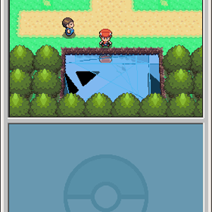 i broke the pond... whoops