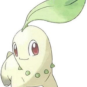 152Chikorita