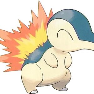 155Cyndaquil