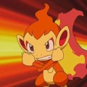chimchar