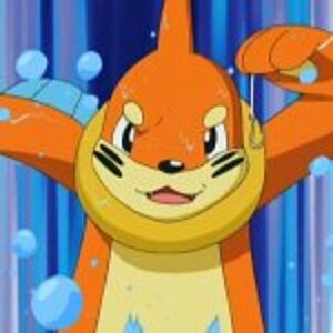 buizel