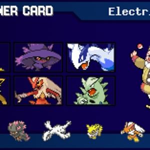 trainercard3
