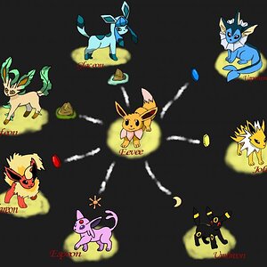 The Eeveelutions