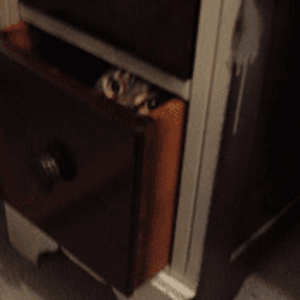 She likes hiding in things...