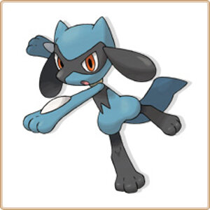 riolu