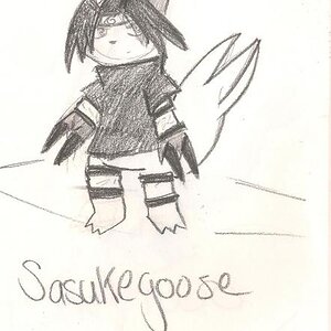Sasukegoose