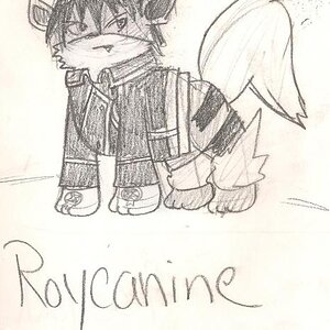 Roycanine