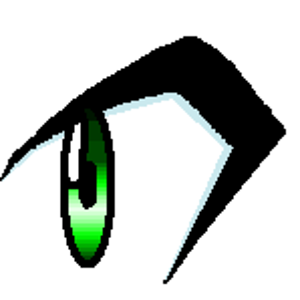 eye