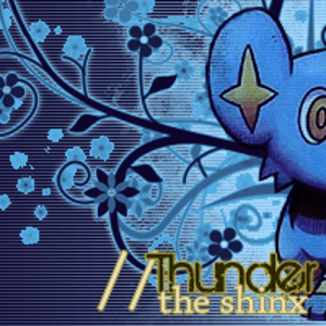 My Shinx theme I was incredibly proud of.. now it's just an eyesore. xD