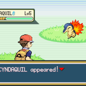 Cyndaquil encounter
