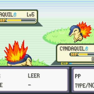 Cyndaquil VS Cyndaquil