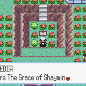 Pokemon Ruby 08