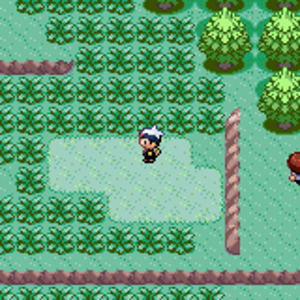 Pokemon Ruby 16