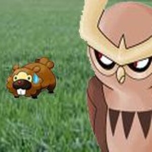 Noctowl thinking about eating a bidoof