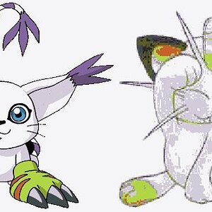 Gatomon & Meowth