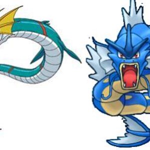 Seadramon &Gyarados