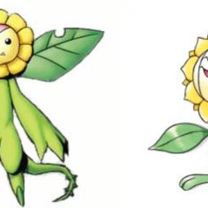 Sunflowmon & Sunflora