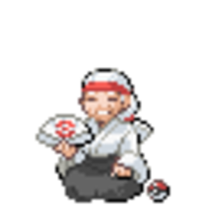 The fighting gymleader's grandmother, the type of little old lady that knows kung fu and knitting.