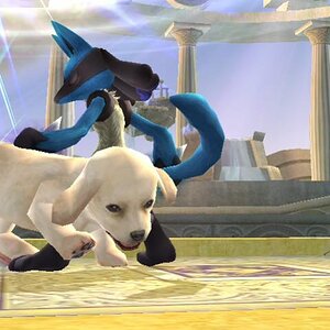 lucario + puppy = awwww