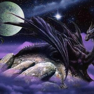Black Dragon 41