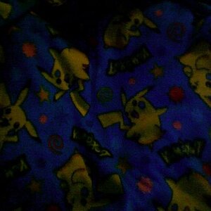 Fleece Blanket. o3o got the fleece at a garage sale~ whoohoo~