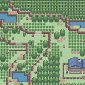 Route 1, Features the lab where you meet your rival.