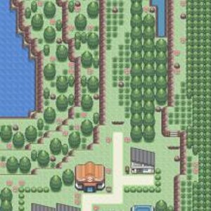 First town and GYM.