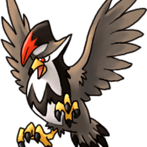 staraptor