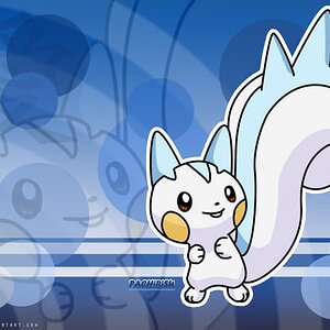 Pachirisu wallpaper