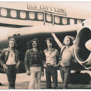 The New Yardbirds.