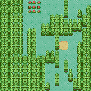 Jirachi Catching Place