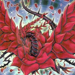 Black Rose DragonRE SIZE