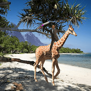 Barack Obama on a Giraffe on a beach, in front of some snowy mountains...
I SHOULD NOT BE DOING SCIENCE