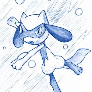 Riolu