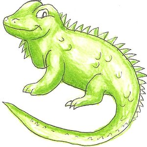 Drawing of a Iguana (cartoon-ish)