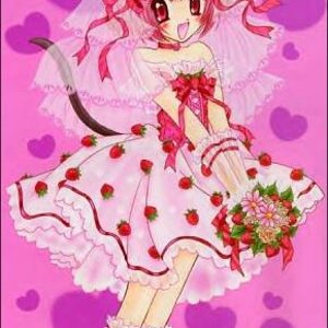 Ichigo's wedding
