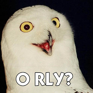 'O RLY?'