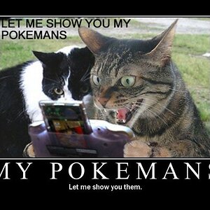 Let me show you my POKEMANS