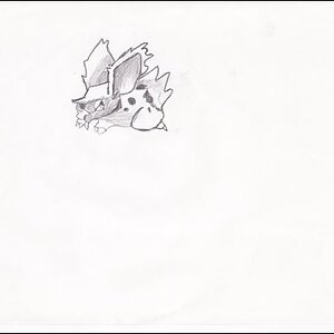 nidoran