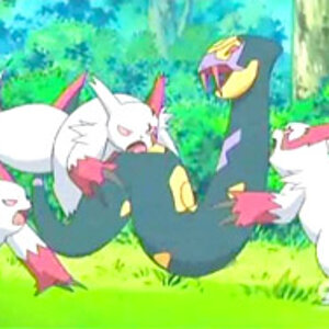 zangoose gets it's buddies to slash the crud out of seviper