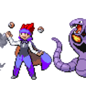 pkmn team