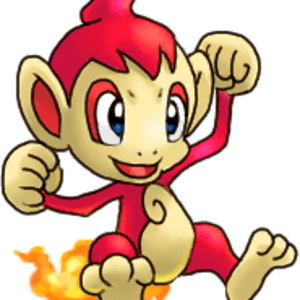 chimchar