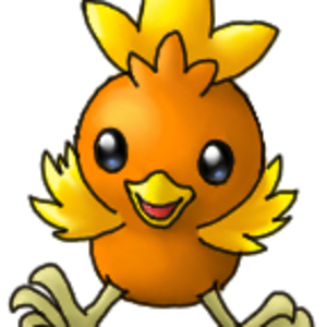 torchic