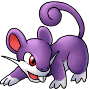 rattata