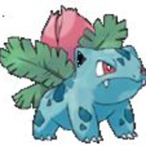Look i found ivysaur!